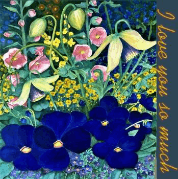 The Digital Card Collection